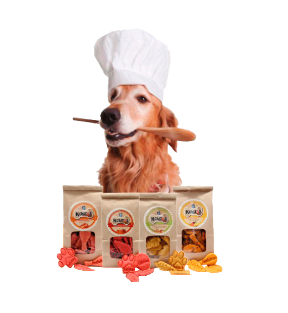 Image-dog-3