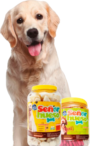 Image-dog-4
